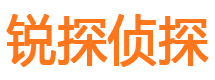 图们调查公司